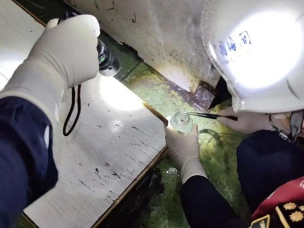 闻道资本 深圳海关截获20000余只蟑螂，鉴定均为德国小蠊.....