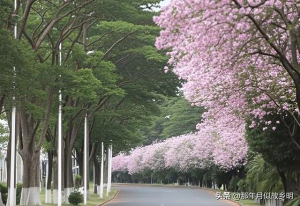 掌上策略 广州24岁大四女生，考公考研失败，男友分手，顿感人生迷茫，咋办