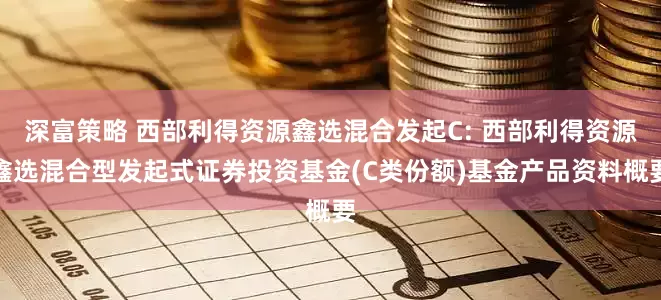 深富策略 西部利得资源鑫选混合发起C: 西部利得资源鑫选混合型发起式证券投资基金(C类份额)基金产品资料概要