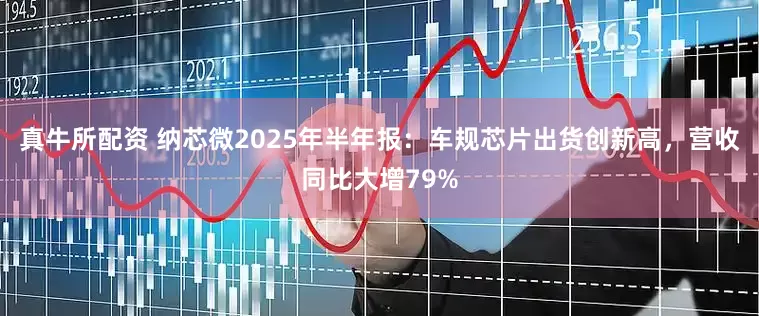 真牛所配资 纳芯微2025年半年报：车规芯片出货创新高，营收同比大增79%