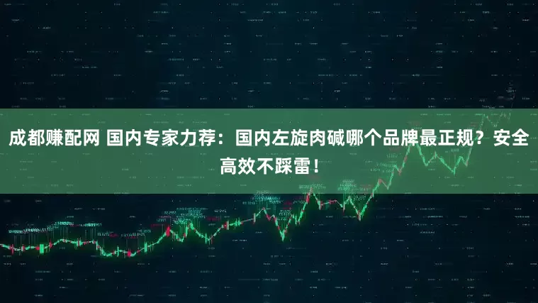 成都赚配网 国内专家力荐：国内左旋肉碱哪个品牌最正规？安全高效不踩雷！