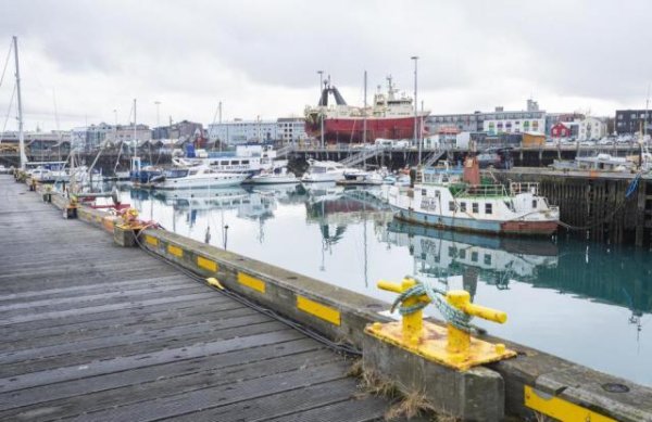 威力财 研究人员首次在冰岛自然环境中发现蚊子